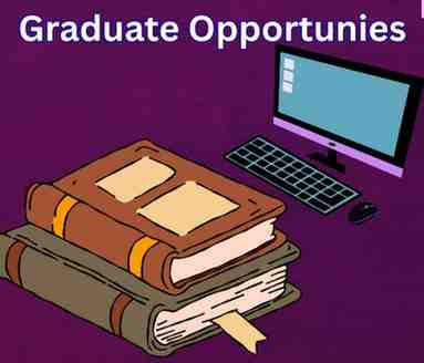 career options after graduation